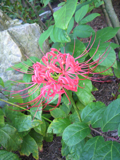 20111001.JPG