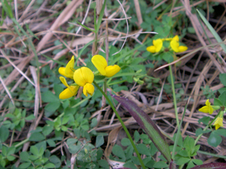 20111203a.JPG