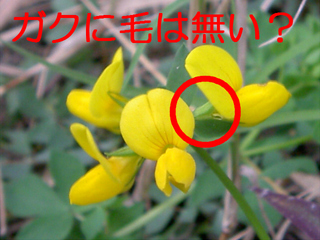 20111203b.JPG