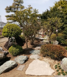 写真 2020-04-17 10 21 10.jpg